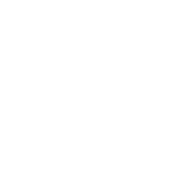 滑轮 滑轮