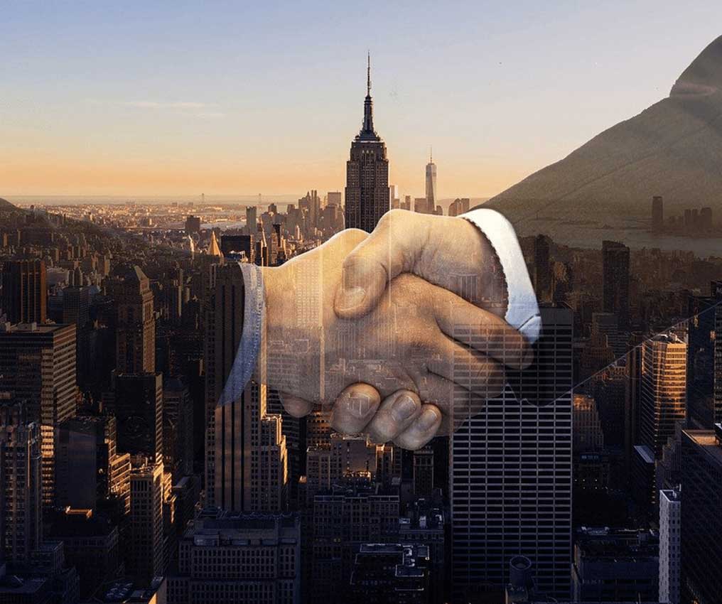 寶高需要這樣的合作伙伴